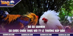 Đá gà