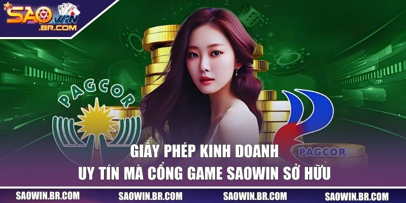 4 giấy phép SAOWIN đang sở hữu