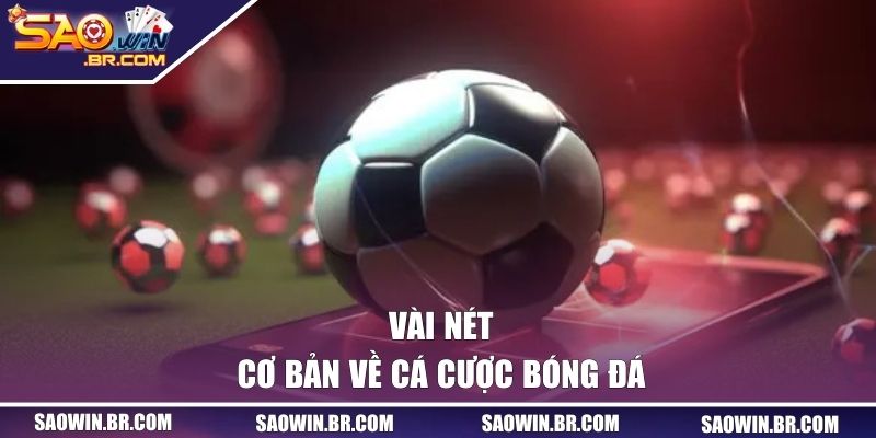 Vài nét cơ bản về cá cược bóng đá 