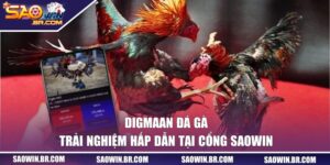 Digmaan đá gà