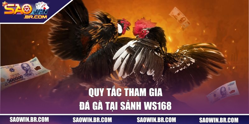 Quy tắc tham gia đá gà tại sảnh WS168